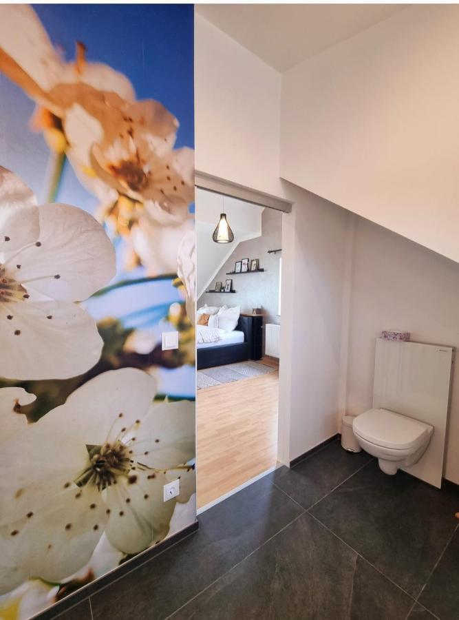 Ferienhaus Im Luftkurort Villa Schömberg Esterno foto